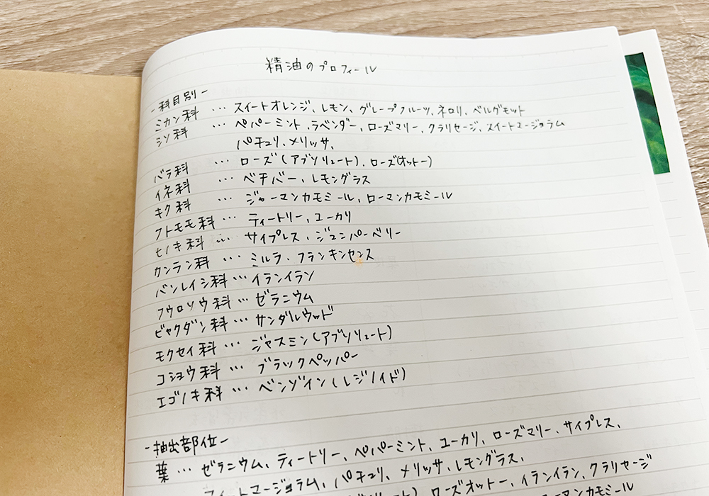 精油プロフィールを「科名」ごと分けてノートにまとめた様子