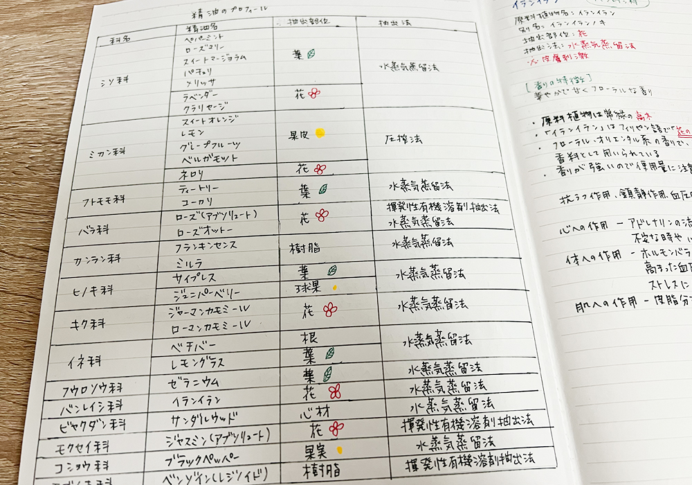 精油プロフィールを「科名」「抽出部位」「抽出法方」で表にしてノートにまとめた様子