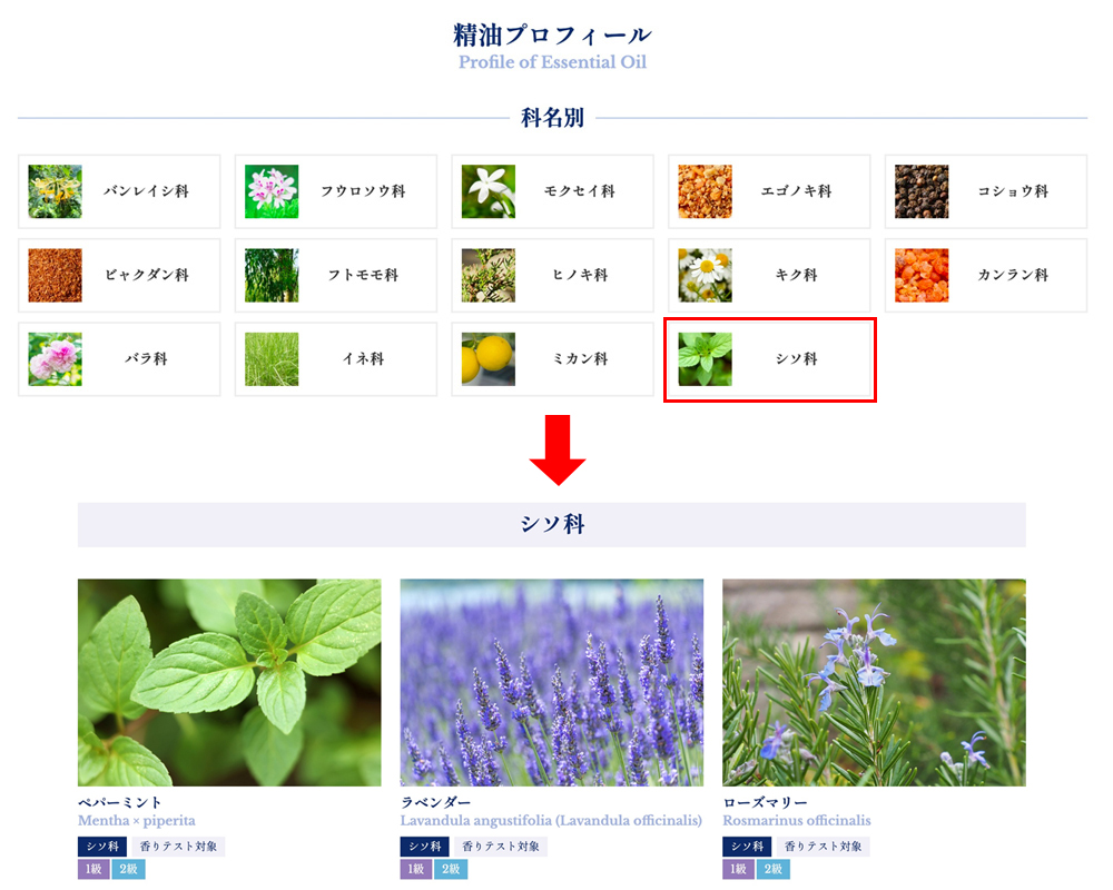 精油プロフィール「科名別」