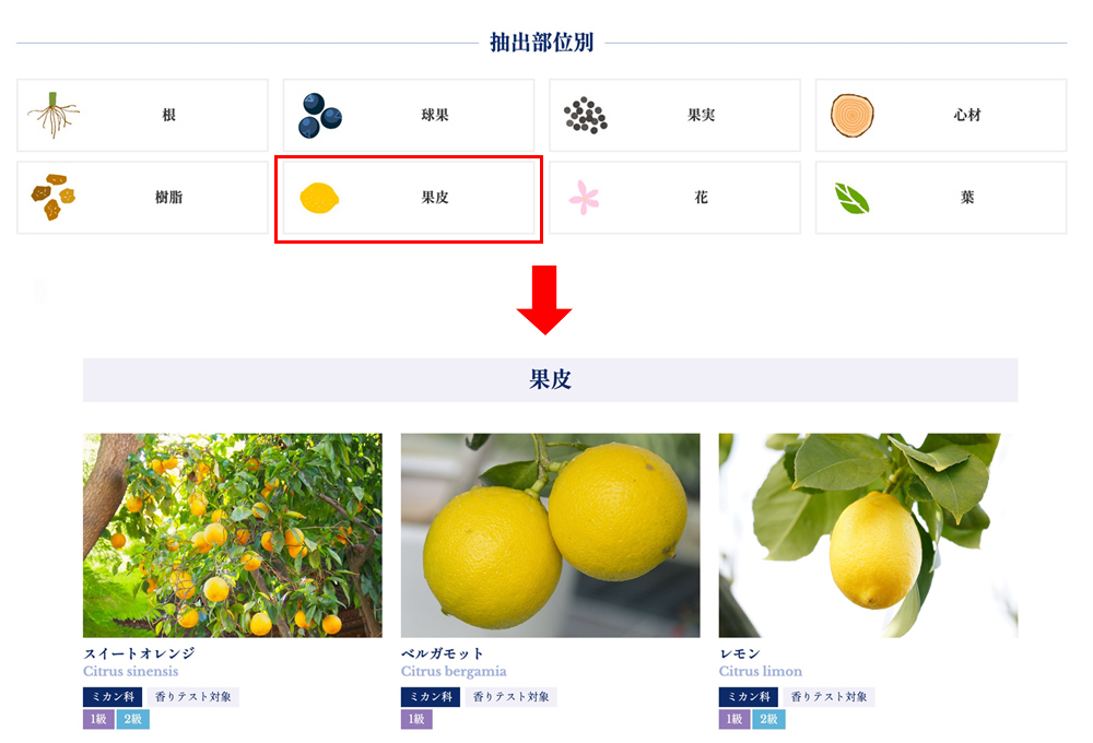 精油プロフィール「抽出部位別」